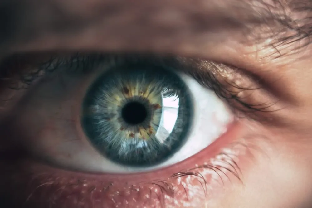 Understanding Eye-Tracking Technology: A Beginner’s Guide
