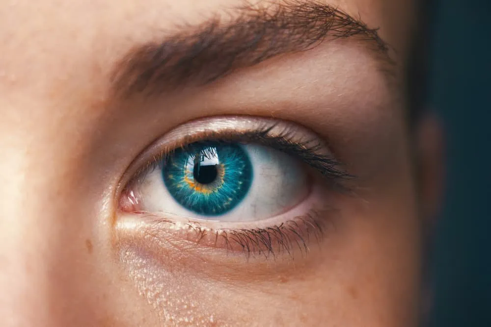 Why you should consider using eye-tracking insights in your thesis or scientific research (and how to use online, remote version)
