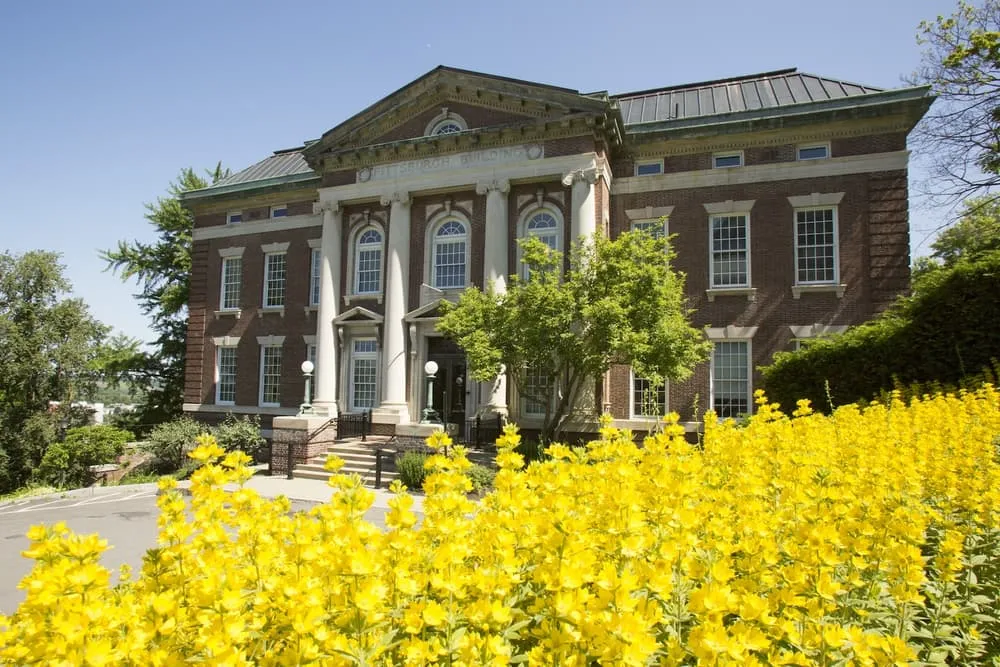 RealEye for Rensselaer Lally School of Management